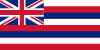 Le drapeau de l'état d'Hawaï