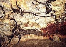 Des aurochs ont été représentés dans la grotte de Lascaux il y a au moins 18 000 ans.