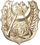 Insigne de l'armée nationale populaire